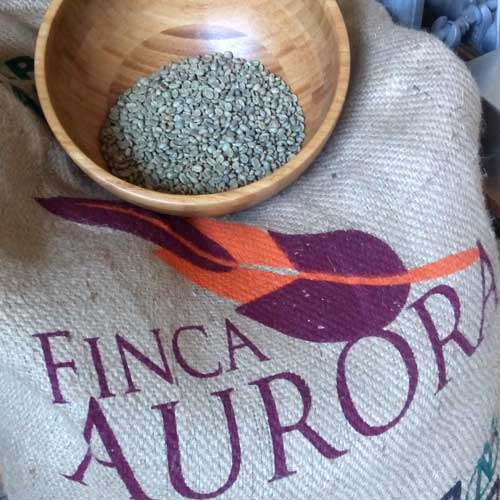 Kaffeebohnen der Finca Aurora aus Mexiko