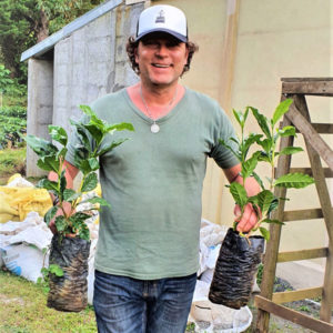 Kaffeepflanzen in Miramar-Costarica