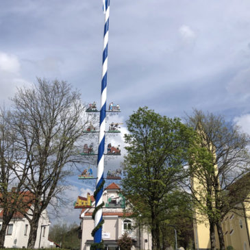 Maibaum 2022